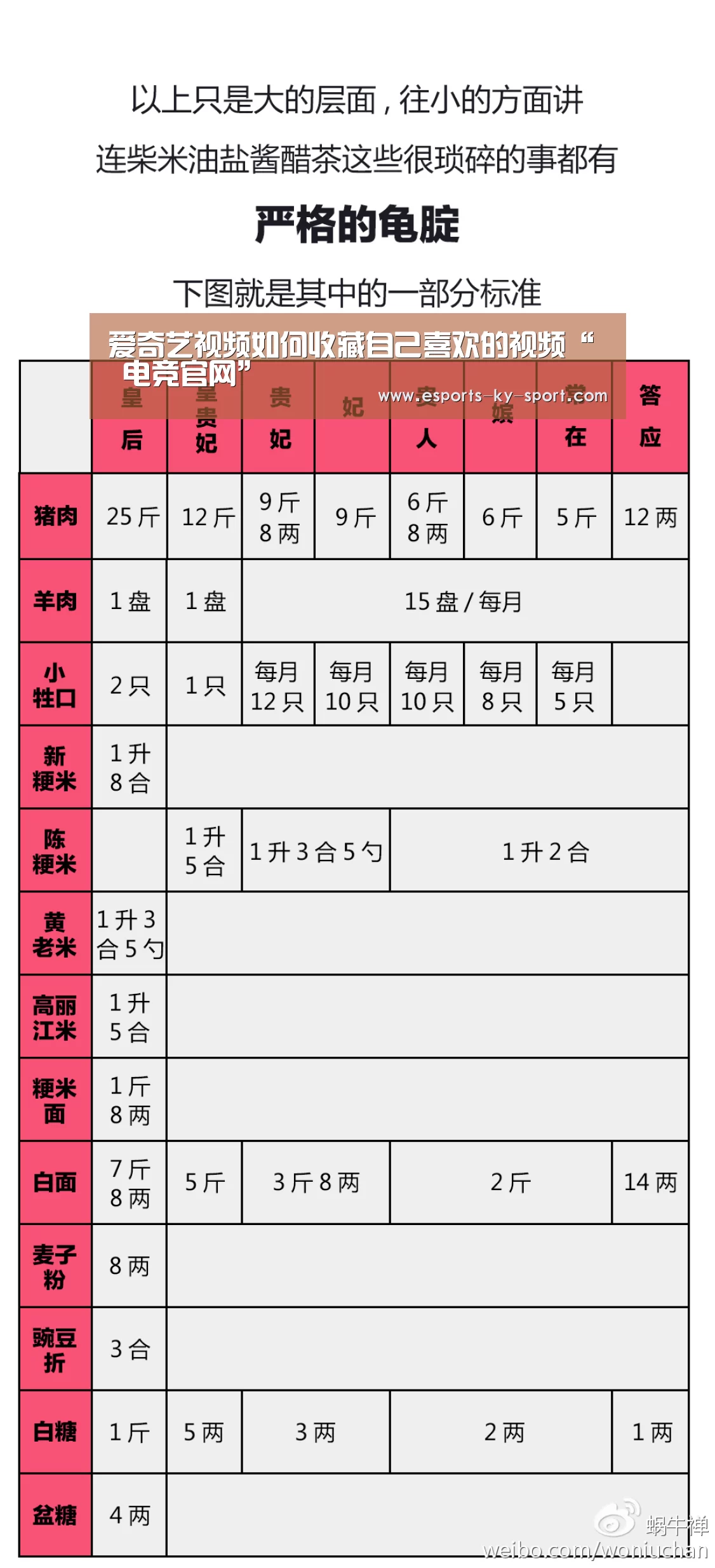  电竞官网
