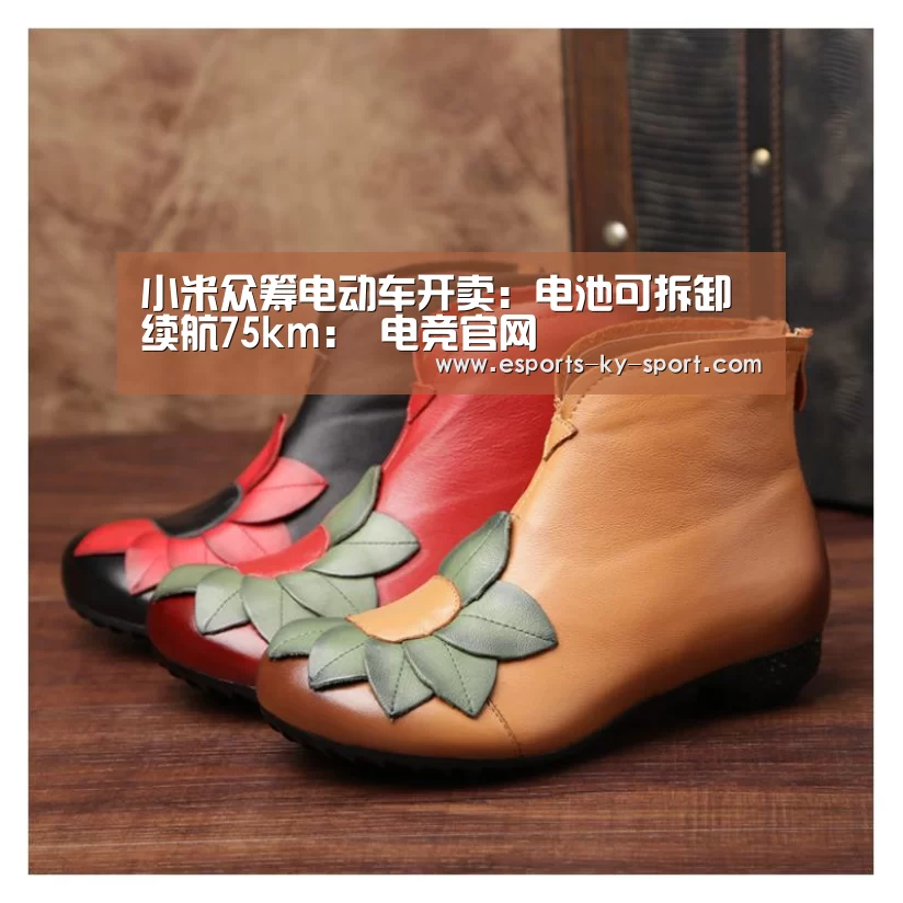  电竞官网